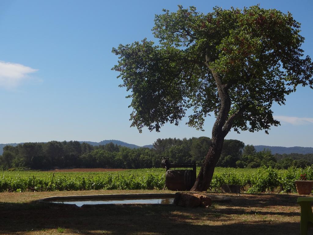 Chateau Nestuby Cotignac Zewnętrze zdjęcie